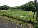香川県仲多度郡まんのう町の官公庁公売物件 24万円 農地 2,208m²