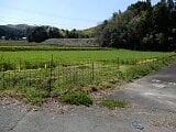 香川県仲多度郡まんのう町の官公庁公売物件 20万円 農地 1,905m²