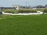 福岡県行橋市の官公庁公売物件 444万円 土地 1,053m²