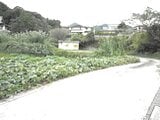 大分県速見郡日出町の競売物件 171万円 土地 676m²