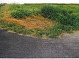 千葉県成田市の競売物件 9万円 農地 1,950m²
