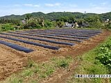 神奈川県平塚市の国税庁公売物件 7万円 農地 132m²