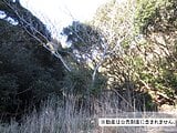 千葉県勝浦市の国税庁公売物件 9万円 土地 2,279m²