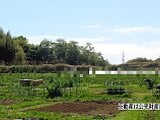 神奈川県平塚市の国税庁公売物件 18万円 農地 330m²