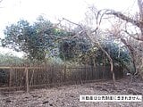千葉県勝浦市の国税庁公売物件 23万円 土地 317m²