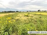 山梨県北杜市の国税庁公売物件 33万円 農地 1,828m²
