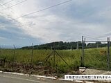 山梨県北杜市の国税庁公売物件 35万円 農地 2,056m²