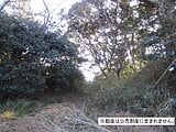 千葉県勝浦市の国税庁公売物件 42万円 土地 10,235m²