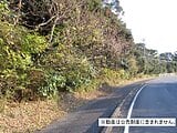 千葉県勝浦市の国税庁公売物件 100万円 土地 17,409m²