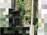 東京都北区の国税庁公売物件 630万円 戸建て 41m²