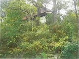 静岡県田方郡函南町の競売物件 75万円 戸建て 128m²