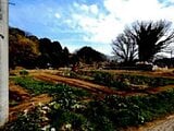 埼玉県桶川市の競売物件 76万円 農地 2,778m²