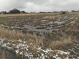 新潟県新潟市の競売物件 48万円 農地 2,042m²