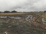 新潟県新潟市の競売物件 24万円 農地 1,021m²