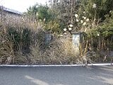 和歌山県紀の川市の国税庁公売物件 375万円 戸建て 102m²