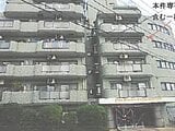 埼玉県越谷市の競売物件 1,840万円 マンション 57m²