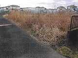 東京都青梅市の競売物件 434万円 土地 269m²