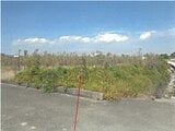 徳島県徳島市の競売物件 225万円 農地 3,824m²
