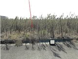 徳島県徳島市の競売物件 158万円 農地 2,692m²