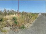 徳島県徳島市の競売物件 390万円 農地 7,578m²