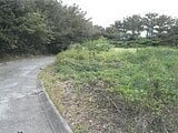 沖縄県国頭郡国頭村の競売物件 95万円 農地 6,275m²