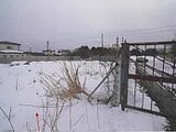 青森県八戸市の競売物件 600万円 土地 4,507m²