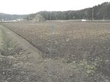 福井県福井市の競売物件 55万円 農地 800m²