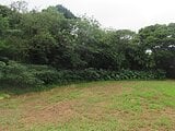 沖縄県国頭郡本部町の国税庁公売物件 306万円 土地 1,318m²