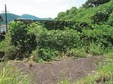 和歌山県西牟婁郡上富田町の競売物件 91万円 土地 327m²