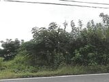 埼玉県児玉郡神川町の競売物件 78万円 農地 249m²