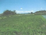 滋賀県守山市の競売物件 54万円 農地 1,003m²