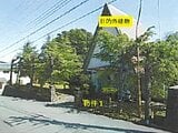 鳥取県鳥取市の競売物件 82万円 土地 1,098m²