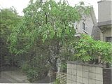 東京都世田谷区の競売物件 4,408万円 戸建て 107m²