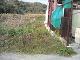 大阪府茨木市の競売物件 305万円 農地 1,332m²