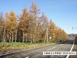 北海道広尾郡広尾町の国税庁公売物件 16万円 土地 28,578m²