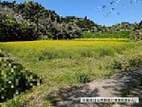 千葉県南房総市の国税庁公売物件 22万円 農地 1,988m²