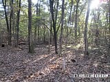 栃木県那須塩原市の国税庁公売物件 38万円 土地 496m²
