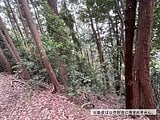 東京都青梅市の国税庁公売物件 40万円 土地 3,820m²