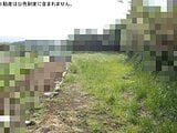 神奈川県横須賀市の国税庁公売物件 44万円 農地 849m²