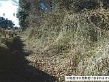 千葉県八千代市の国税庁公売物件 49万円 土地 314m²
