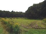 千葉県柏市の国税庁公売物件 70万円 農地 2,816m²