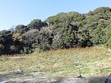 神奈川県横須賀市の国税庁公売物件 85万円 農地 3,253m²