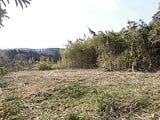 神奈川県伊勢原市の国税庁公売物件 150万円 農地 1,429m²