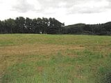 福島県田村市の競売物件 162万円 農地 27,048m²