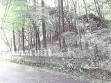 長野県北佐久郡軽井沢町の競売物件 158万円 戸建て 126m²
