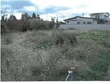 岩手県花巻市の競売物件 67万円 土地 305m²