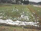 秋田県由利本荘市の競売物件 1万円 農地 426m²