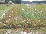 秋田県由利本荘市の競売物件 1万円 農地 363m²