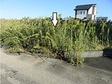 三重県伊勢市の官公庁公売物件 145万円 土地 228m²