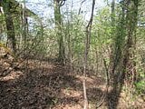 山梨県南都留郡鳴沢村の官公庁公売物件 107万円 土地 353m²